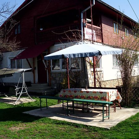 Vila Mihaela Breaza  Exteriér fotografie