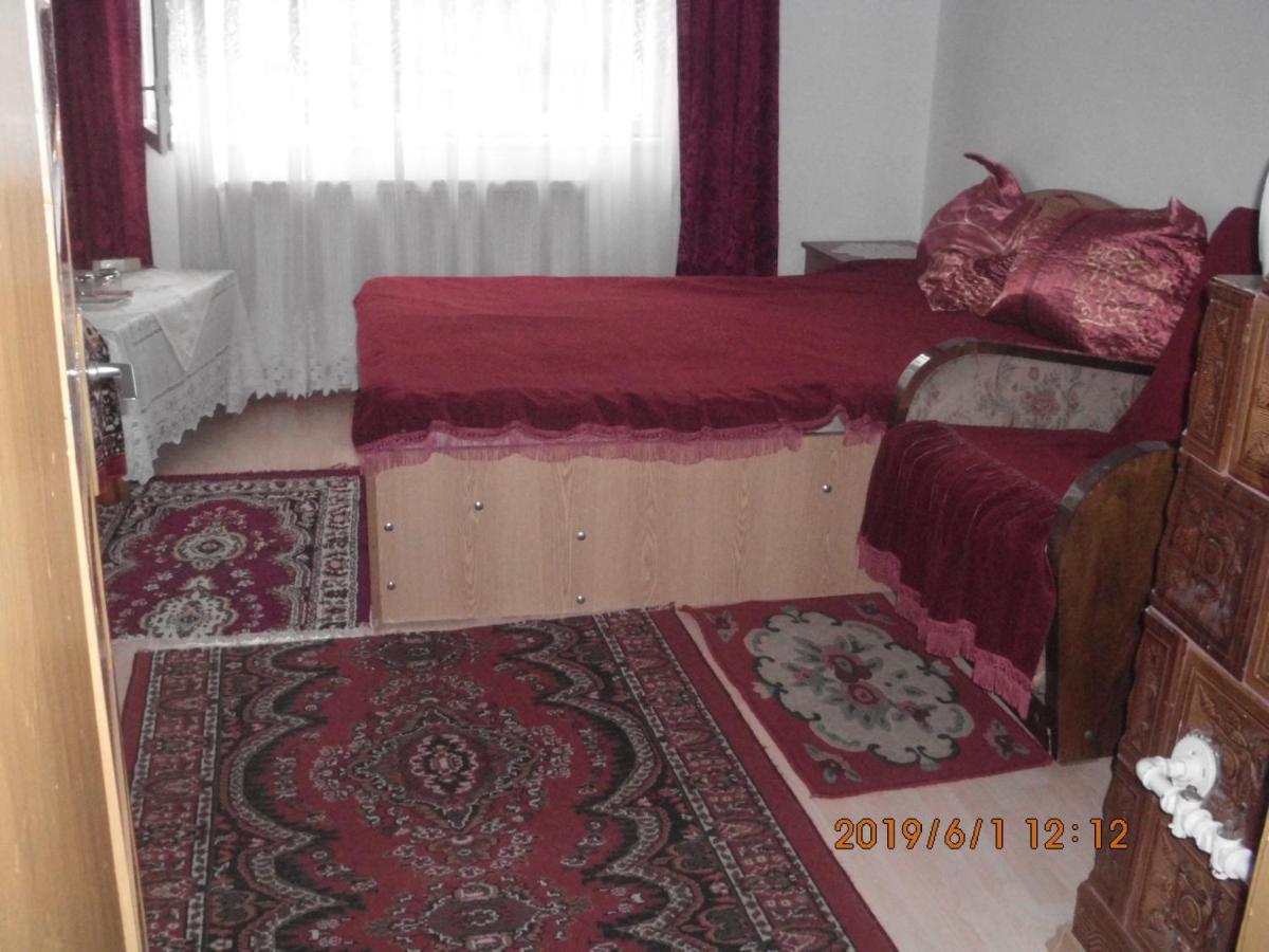 Vila Mihaela Breaza  Exteriér fotografie